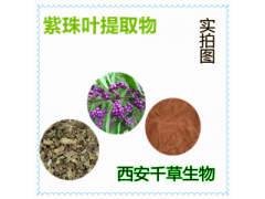 紫珠葉提取物紫珠葉浸膏 廠家生產(chǎn)定制水溶性紫珠葉濃縮粉