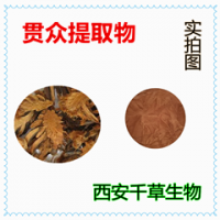 貫眾提取物 貫眾濃縮粉 貫眾浸膏粉 貫眾浸膏顆粒