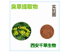 纈草提取物 纈草濃縮粉 纈草浸膏粉纈草浸膏顆粒