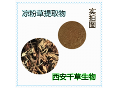 涼粉草提取物濃縮粉浸膏粉