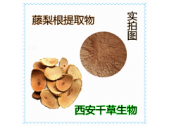 藤梨根提取物 藤梨根濃縮粉 藤梨根浸膏粉 藤梨根流浸膏
