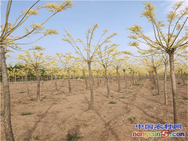 微信圖片_20200422162008