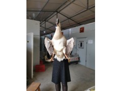 河南鵝苗 鵝苗價格 獅頭鵝苗多少錢 樊榮養(yǎng)殖場