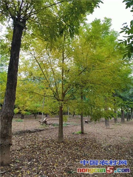 微信圖片_20200915181935