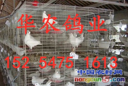 1_副本1