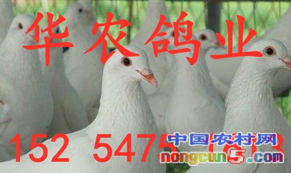 timg_副本