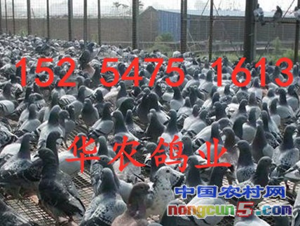 timgADE102XB_副本