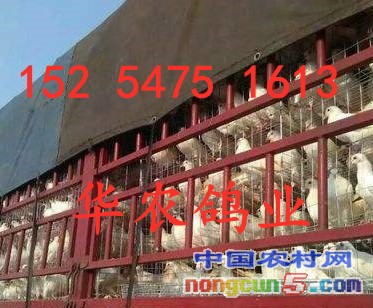 timgN3XGXL7A_副本