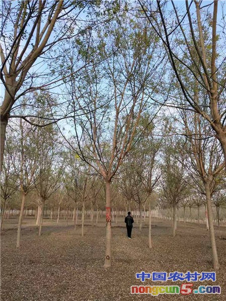 微信圖片_20201125181323_副本