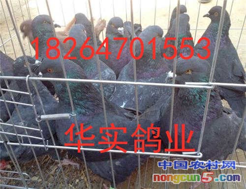 u=148040844,232215721&fm=26&gp=0