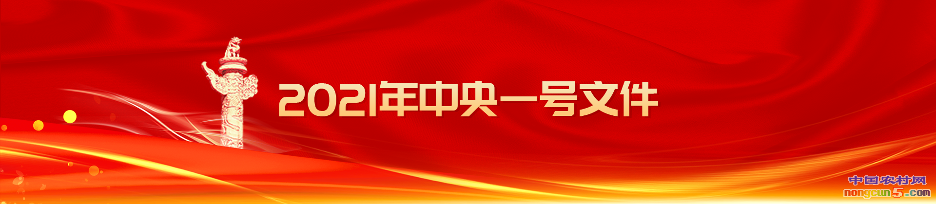 2021年中央一号文件全文来了!(附历年回顾)