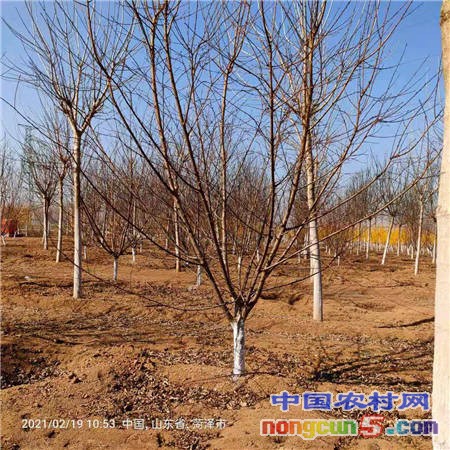 微信圖片_20210220144744_副本