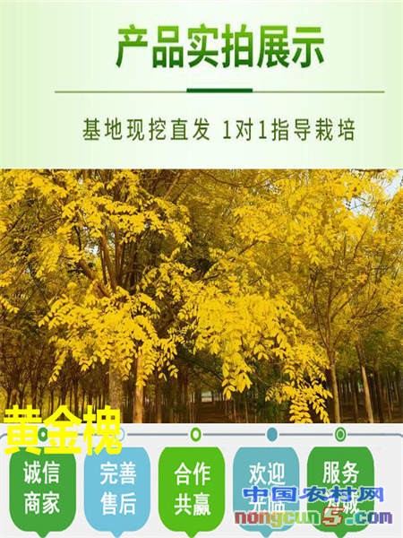 微信圖片_20210425182254