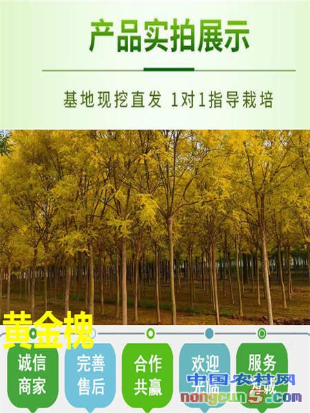 微信圖片_20210425182252