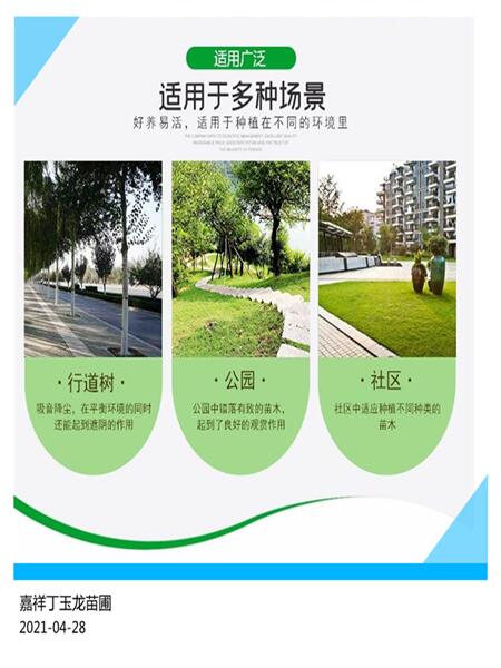 QQ瀏覽器截圖20210428145010