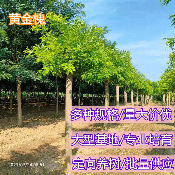 微信圖片_20210729164749_副本