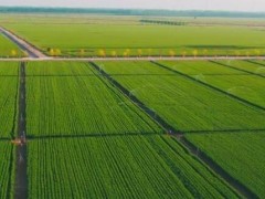 安徽合肥：高標準農田建設有力改善農業生產條件，促進農業增產增收！