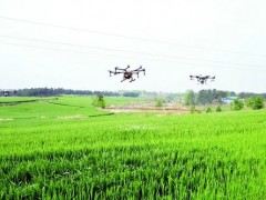 北京順義：無人機助力小麥高質量生產“保駕護航”
