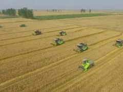 新疆阿克苏：“三夏”农机管田，农业经济效率逐步提升！