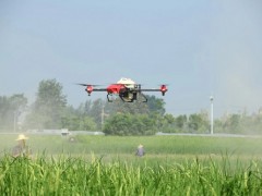 山西云州區：供銷社無人機飛防服務助力農業更現代化！