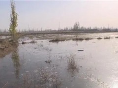 新疆博湖縣：全力做好冬灌，為來年豐收做足準備！