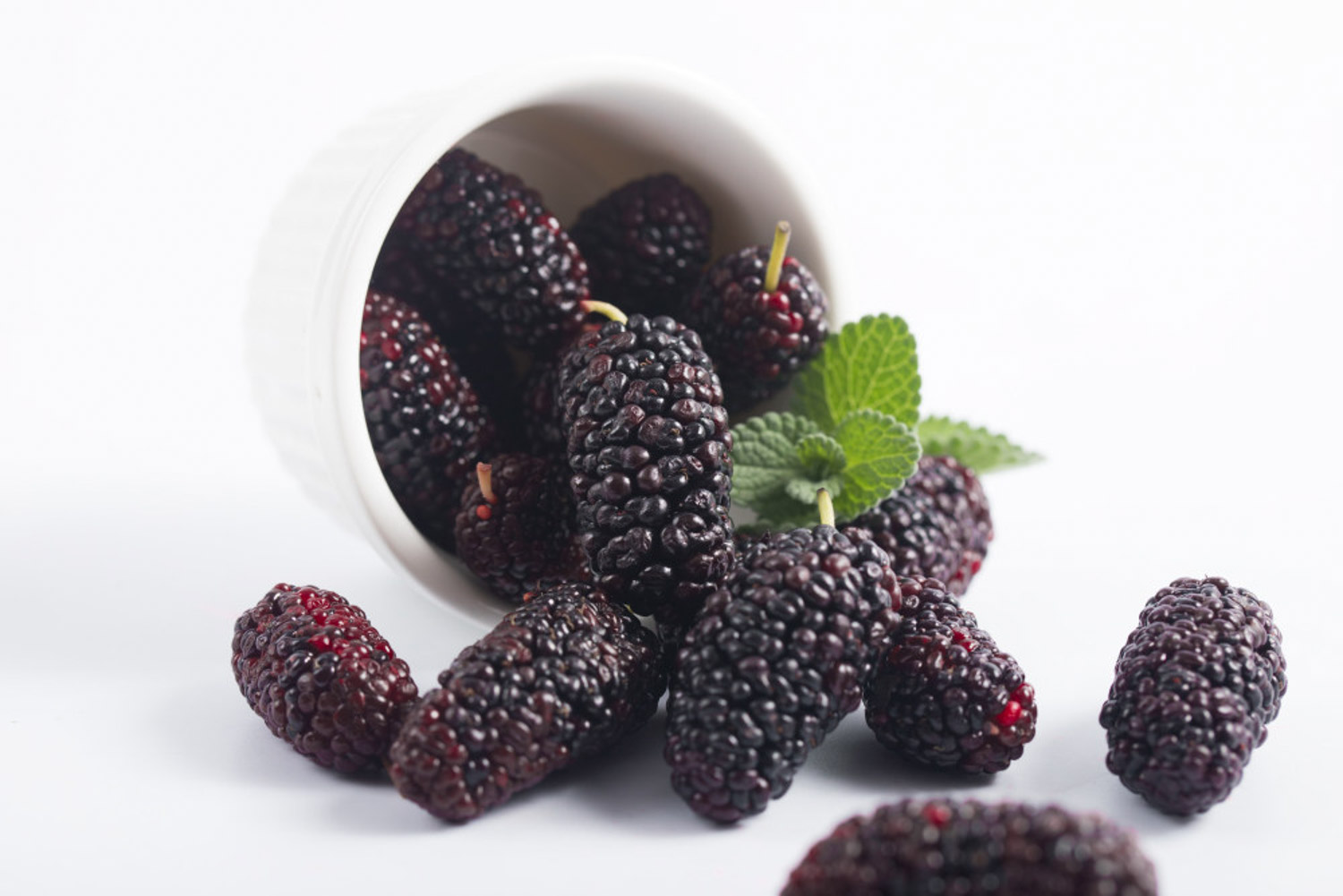 优享资讯 | 听说黑莓和桑葚是亲戚