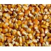 海旺饲料求购玉米、小麦、高粱、大豆