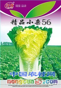 精品小雜56