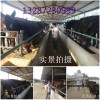 天津市養(yǎng)一頭肉驢的利潤是多少？養(yǎng)驢賺錢嗎