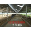 2015年養(yǎng)驢的利潤與成本，貴州省肉驢價(jià)格