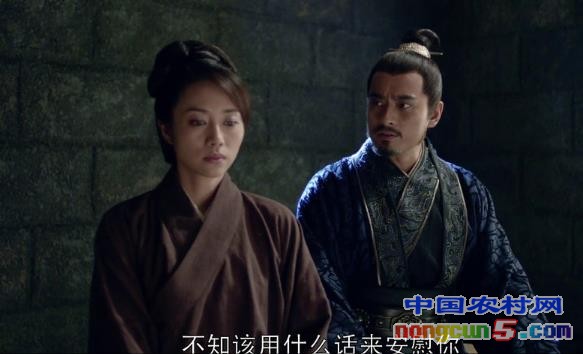分集剧情：琅琊榜电视剧全集43-55集 誉王谋反长苏拔剑
