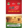 供應(yīng)小麥種子鑫秋山農(nóng)27 高產(chǎn)抗病農(nóng)作物種子 大田作物種子