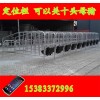 母豬定位欄  限位欄生產(chǎn)廠家電話地址