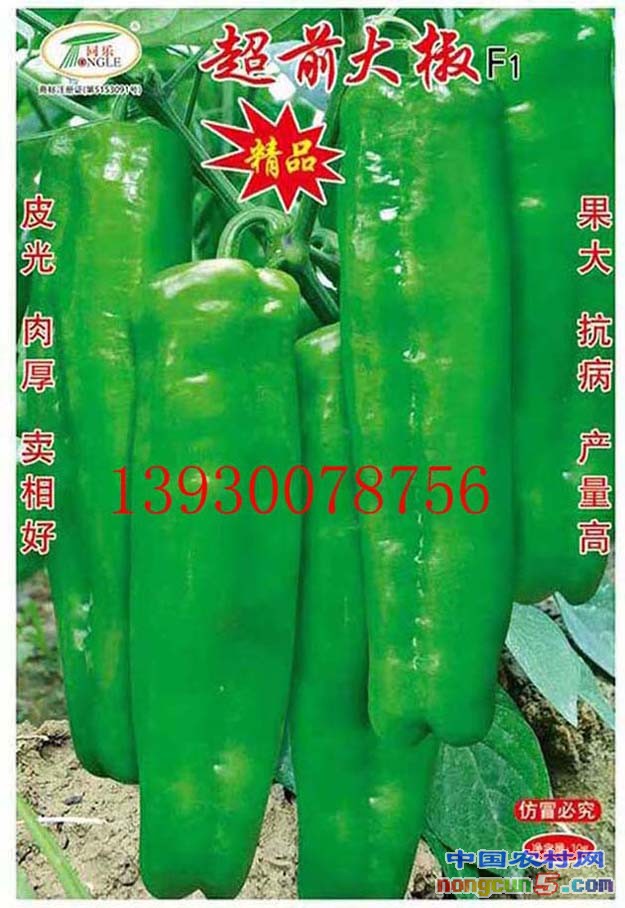 1、超前大椒包裝袋