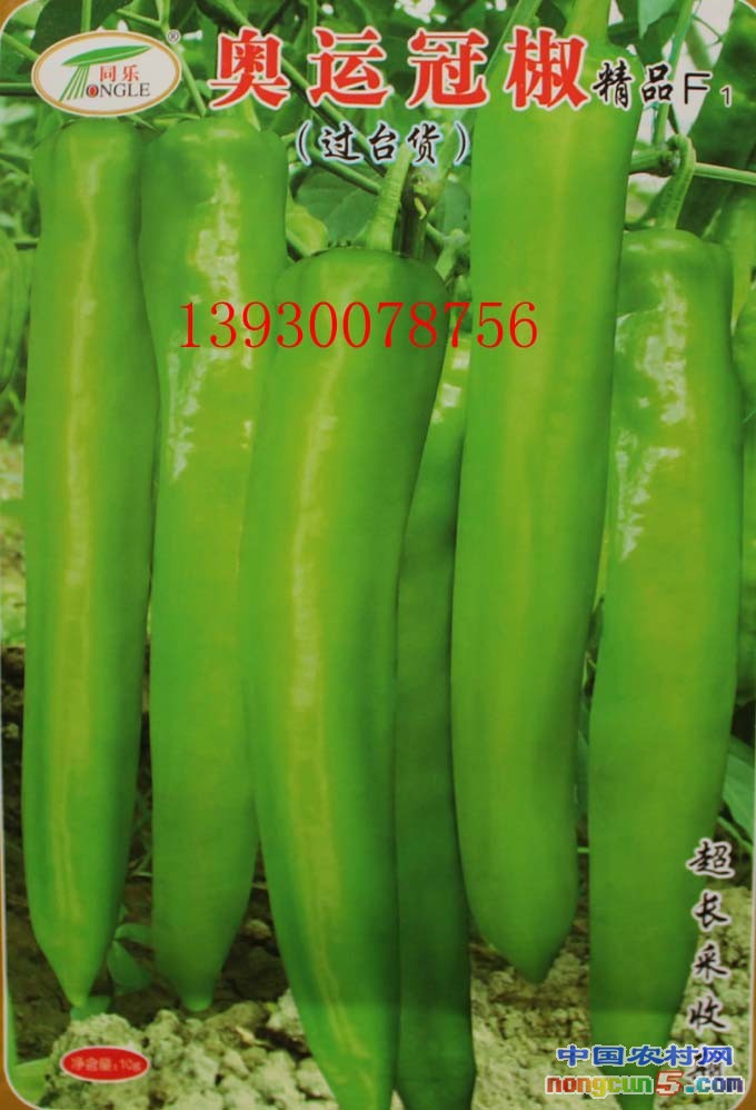 奧運(yùn)冠椒