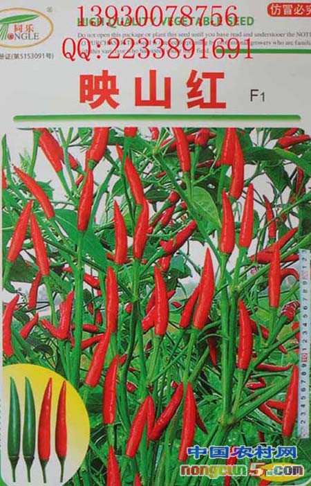映山紅