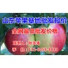 山東蘋果批發(fā)0.6元/斤丨嘎啦紅星美八