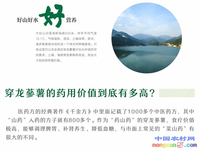 首頁-中國湖山良品8