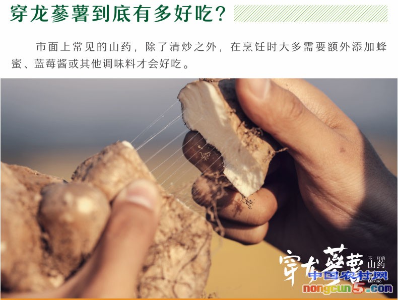 首頁-中國湖山良品12