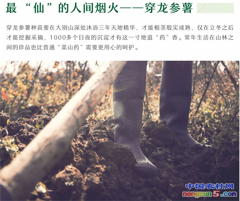 首頁-中國湖山良品14