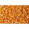 常年现款大量求购玉米，大豆，高粱，小麦，大麦，肉骨粉