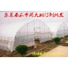 重慶大棚管廠批發(fā)熱鍍鋅大棚管 蔬菜大棚管 天溝水斗大棚管配件