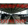 現(xiàn)在小肉驢最新價格多少