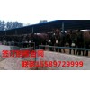德州驢的基本飼養(yǎng)與管理技術(shù)