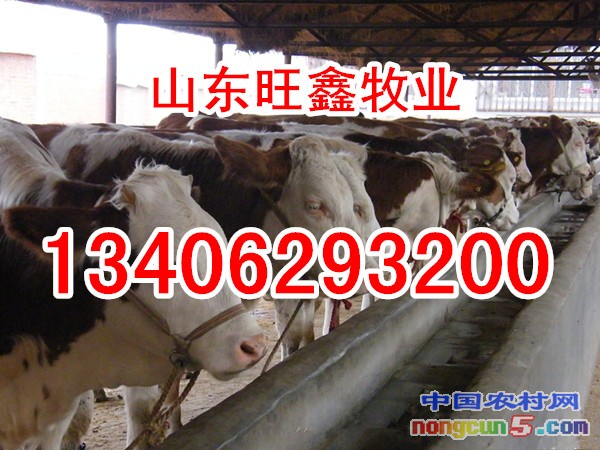 15-52-34-58-88_
