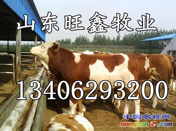 28c7269a3897ab8c_副本
