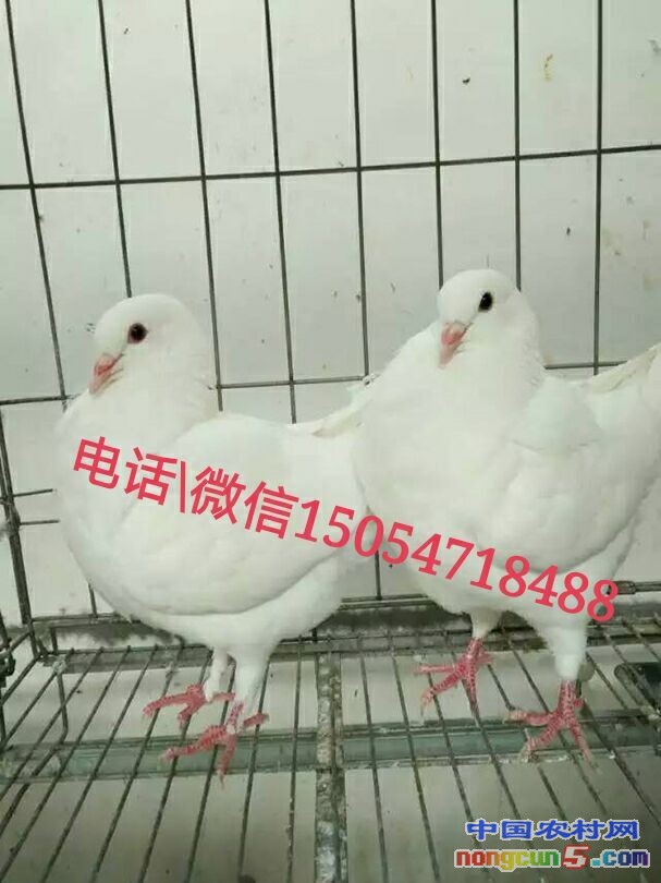 QQ圖片20160702122101