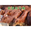 科學(xué)養(yǎng)殖肉牛