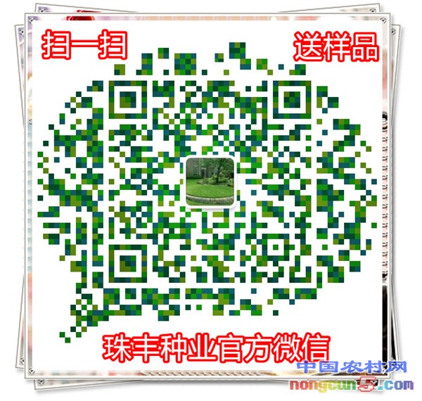 二維碼
