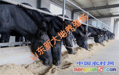 2-16052011432Ub_副本